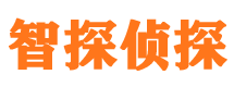 武汉市私家侦探